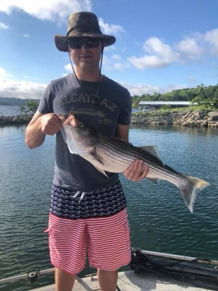 Person holding a large striped fish on a dock by the water, wearing a hat and striped shorts.