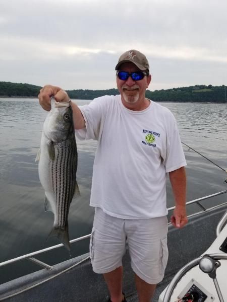 Man holding a large striped fish on a boat deck, wearing a white shirt, shorts, cap, and sunglasses.