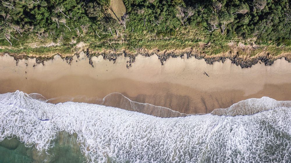 An aerial view of a beach with waves and trees. — Port Denture Clinic In Bonny Hills, NSW