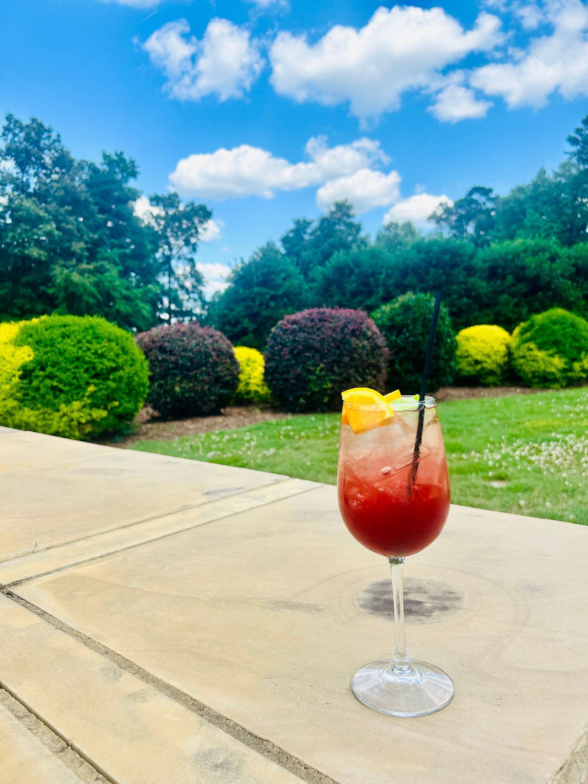 A glass of red cocktail with an orange slice sits on a stone surface overlooking a sunny garden with shrubs and trees.
