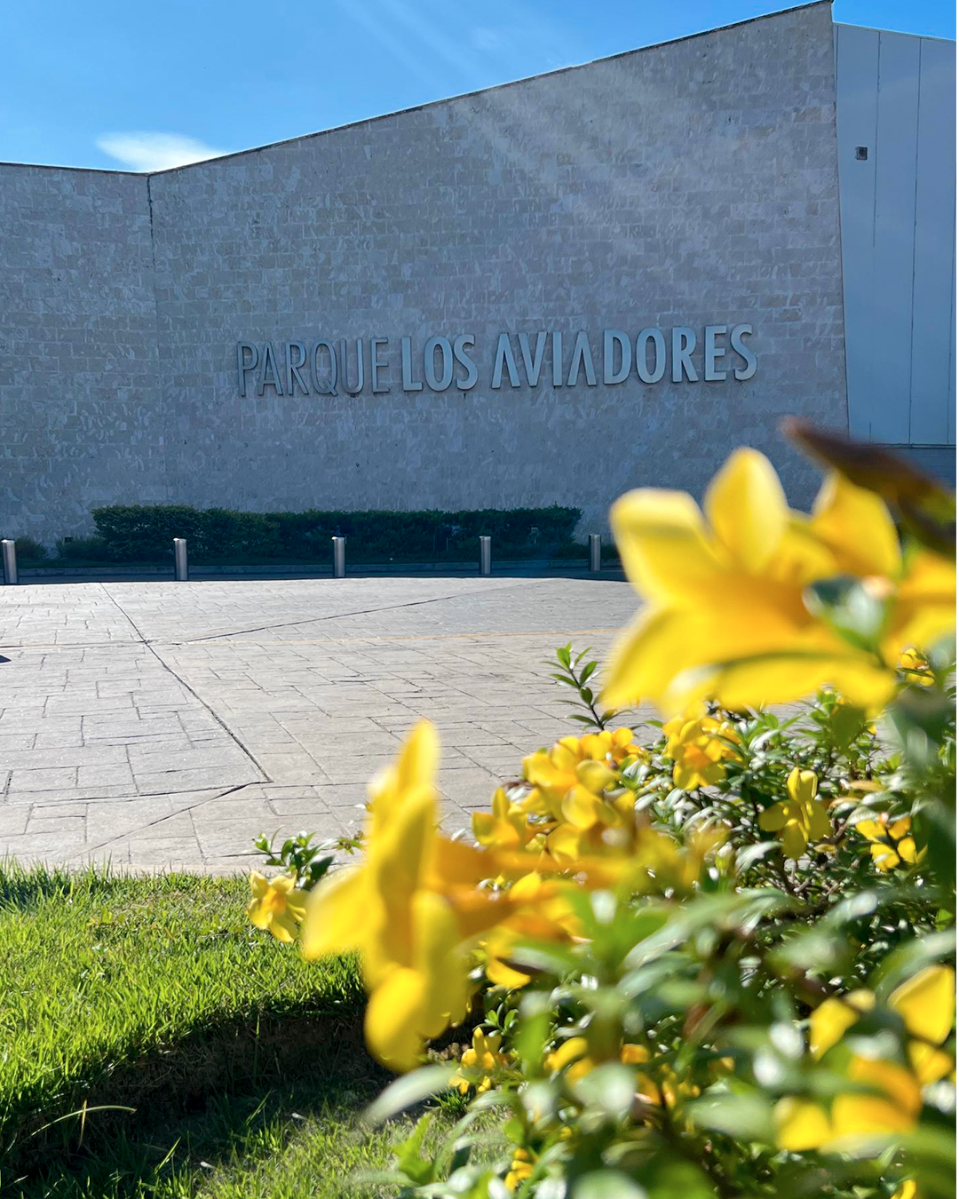 Fachada del museo con el letrero de “Pablo Los Vándores”, plaza iluminada por el sol y flores amarillas en primer plano.