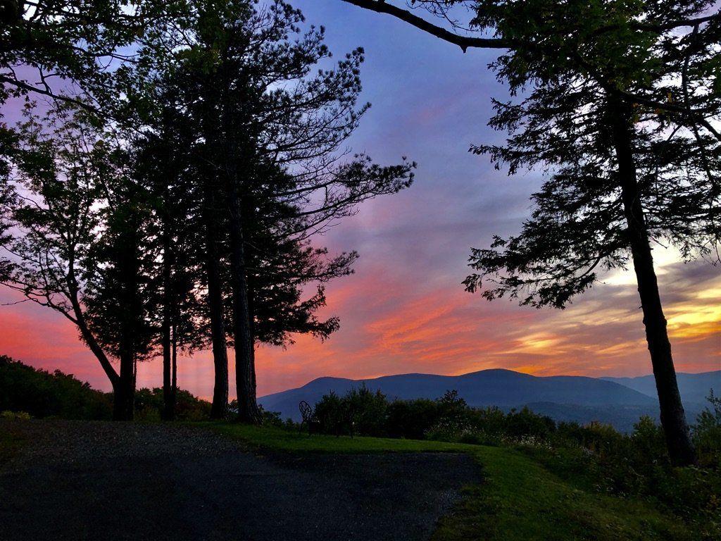 Sunset over a mountain range framed by dark silhouettes of pine trees in the foreground against a pink and orange sky.