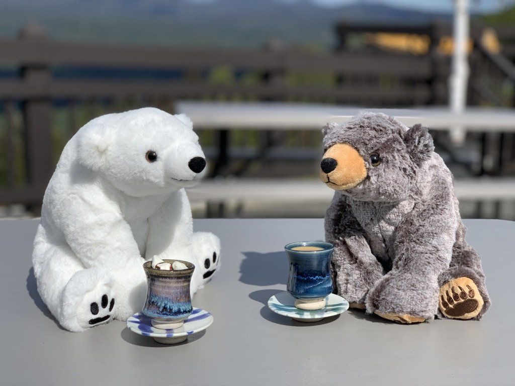A white polar bear plush and a brown bear plush sit across from each other at a table outdoors, each with a small cup.