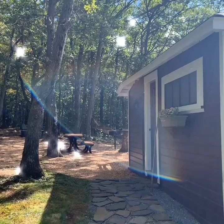 A dark-sided cabin with a white-trimmed window sits beside a stone path in a wooded area with outdoor furniture.