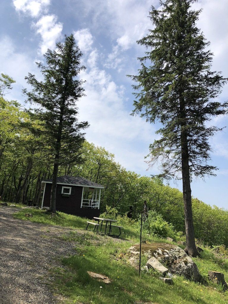 Mahican Cabin sits on a grassy hill between two tall evergreen trees under a bright blue, cloudy sky.