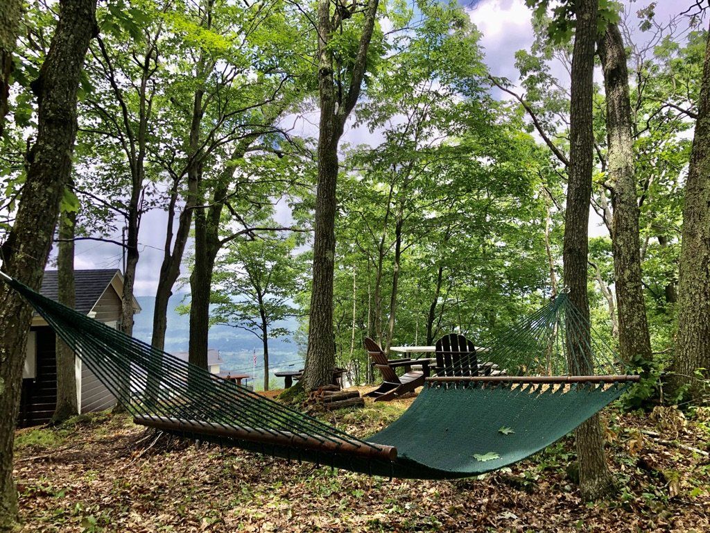 A green hammock stretches between trees in a wooded area near a house, with outdoor chairs visible in the background.