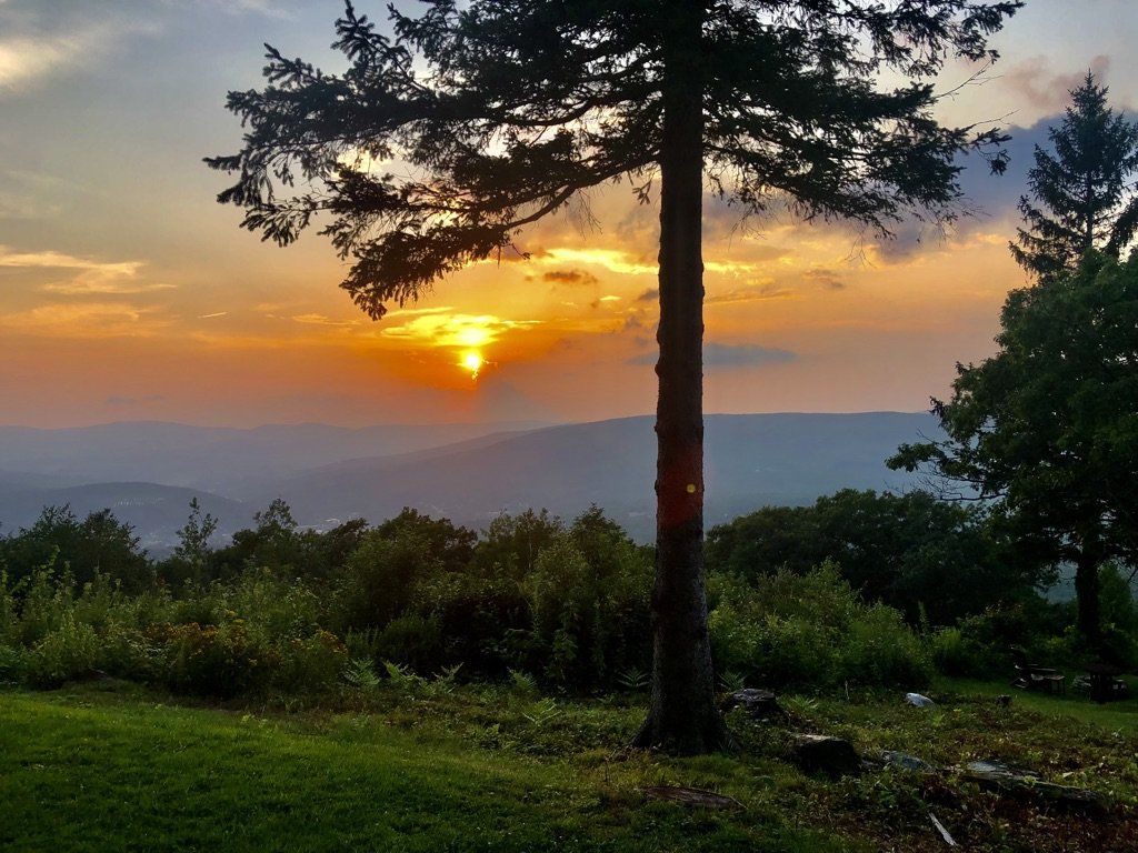 A sunset glows orange behind layered mountains, viewed past a large tree in the foreground.