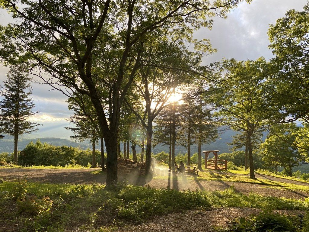 Sunlight filters through trees in a lush, wooded park, casting long shadows across a gravel ground with wooden benches.