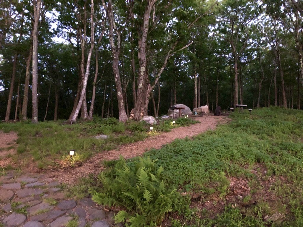 A stone pathway leads into a shaded woodland clearing with green ferns, low vegetation, and scattered rocks.