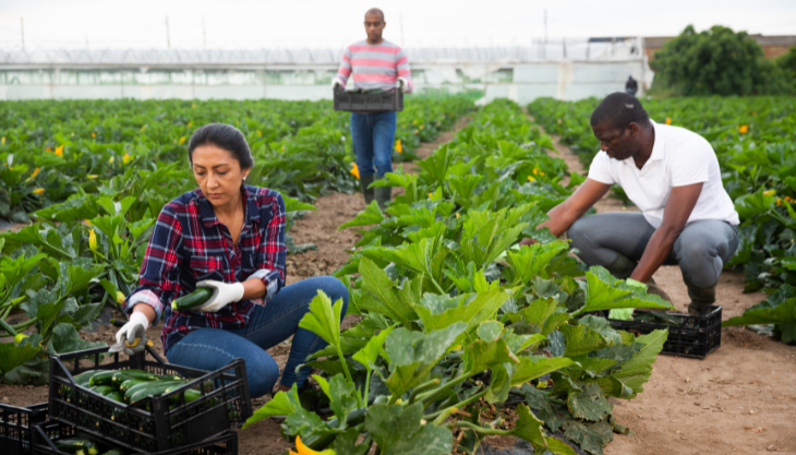 what are seasonal workers?