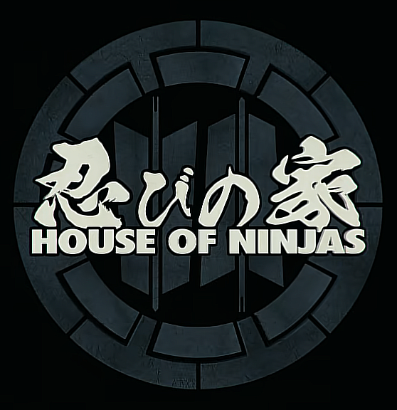 Recensione finale di House of Ninjas