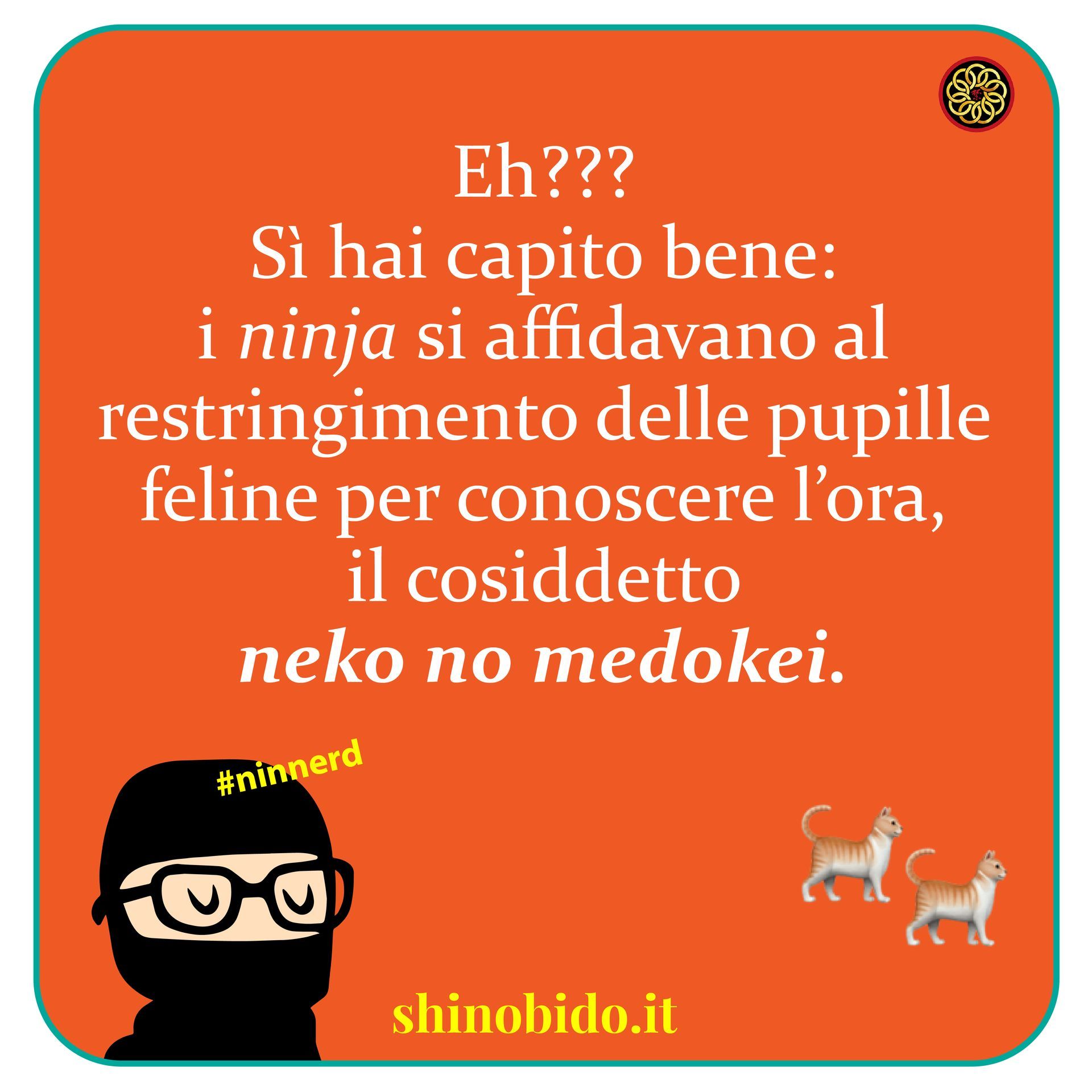 Ninja e gatti  2