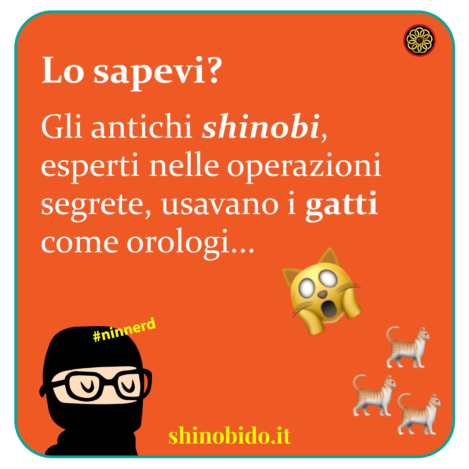 Ninja e gatti
