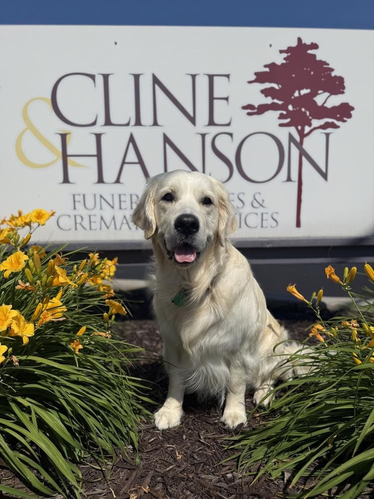 Staff Photo