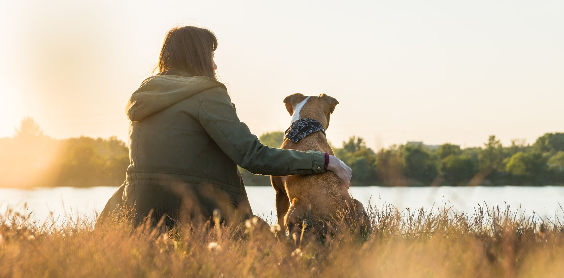 A person sitting in a grassy field at sunset with their arm around a dog, both looking out over a calm body of water.