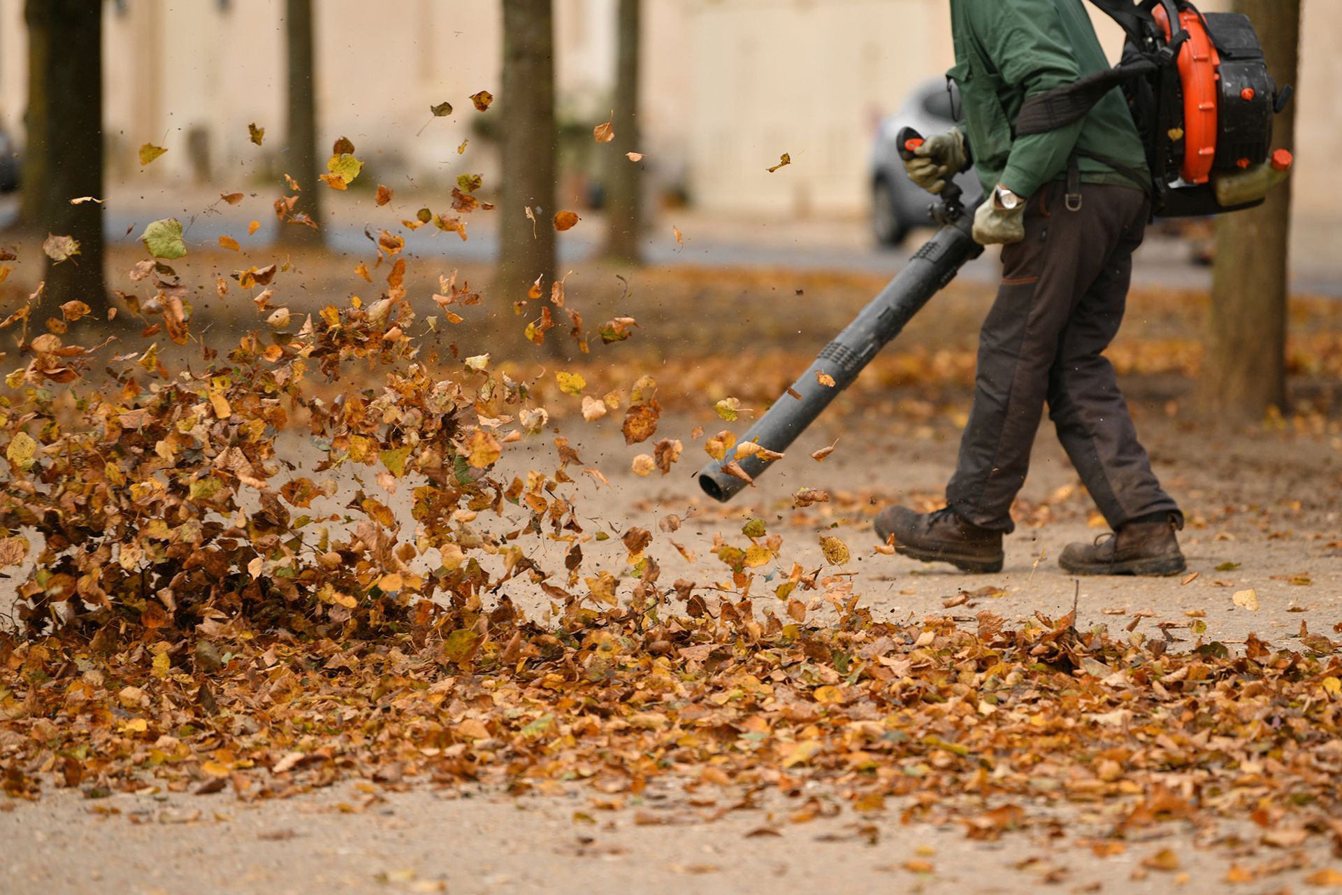 Call Elite Outdoor for Top-Notch Leaf Removal in Columbia, MO During the Fall.