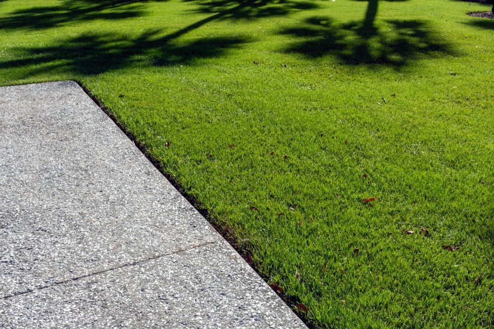A concrete sidewalk next to a lush green lawn.