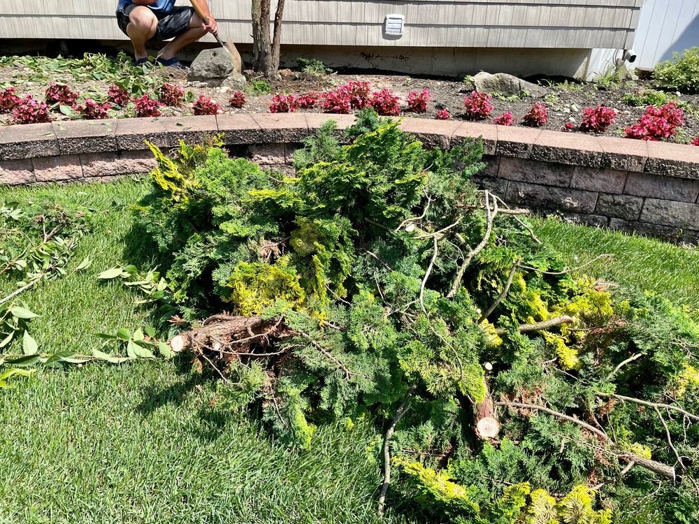 A man is kneeling down next to a pile of branches in a garden.