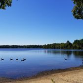 Quiet lake with ducks, sandy shore, and clear blue sky, framed by trees along the waterline.