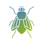 icona mosca