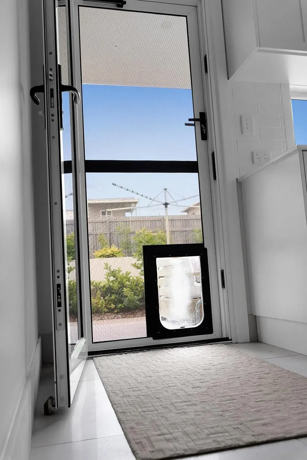 Screen Door with A Cat Door, Open to A Sunny Backyard — Wares Blinds, Screens & Awnings In Gracemere, QLD