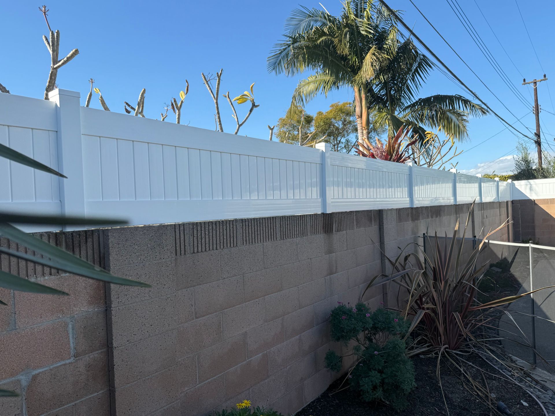 A white fence surrounds a brick wall with palm trees in the background.