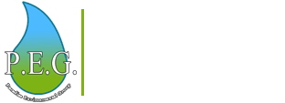 Paradise Environmental Group Paradise Environmental Group
