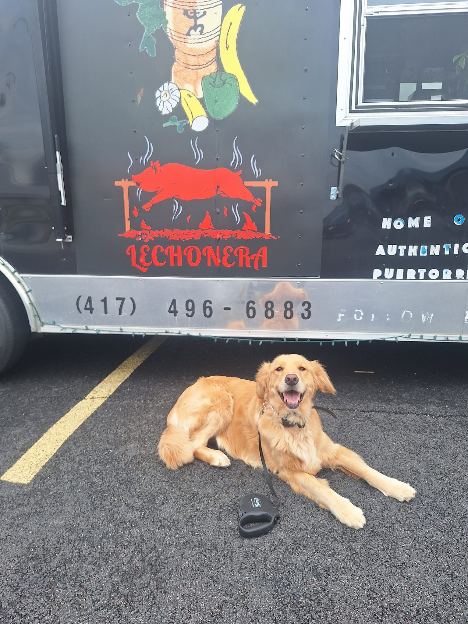 A Dog is Laying in Front of a Food Truck | Springfield, MO | MMK9