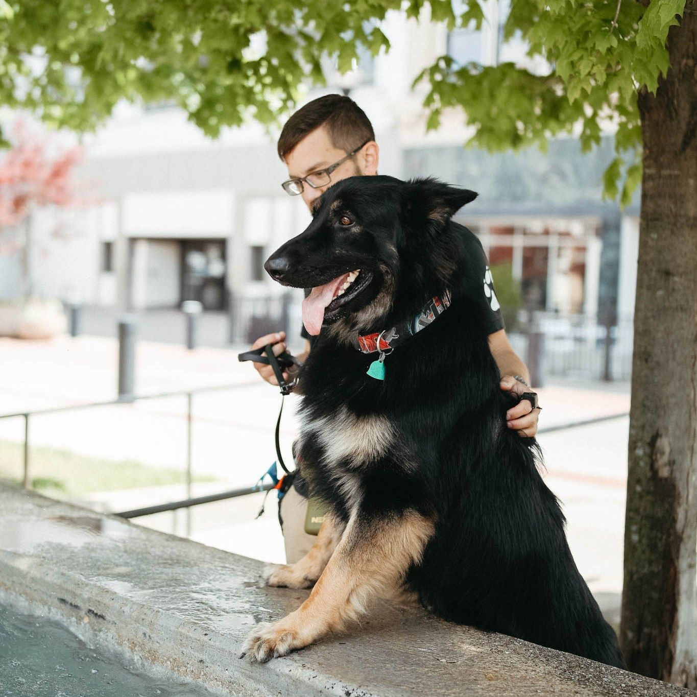 A Man is Holding a Black Dog on a Leash | Springfield, MO | MMK9