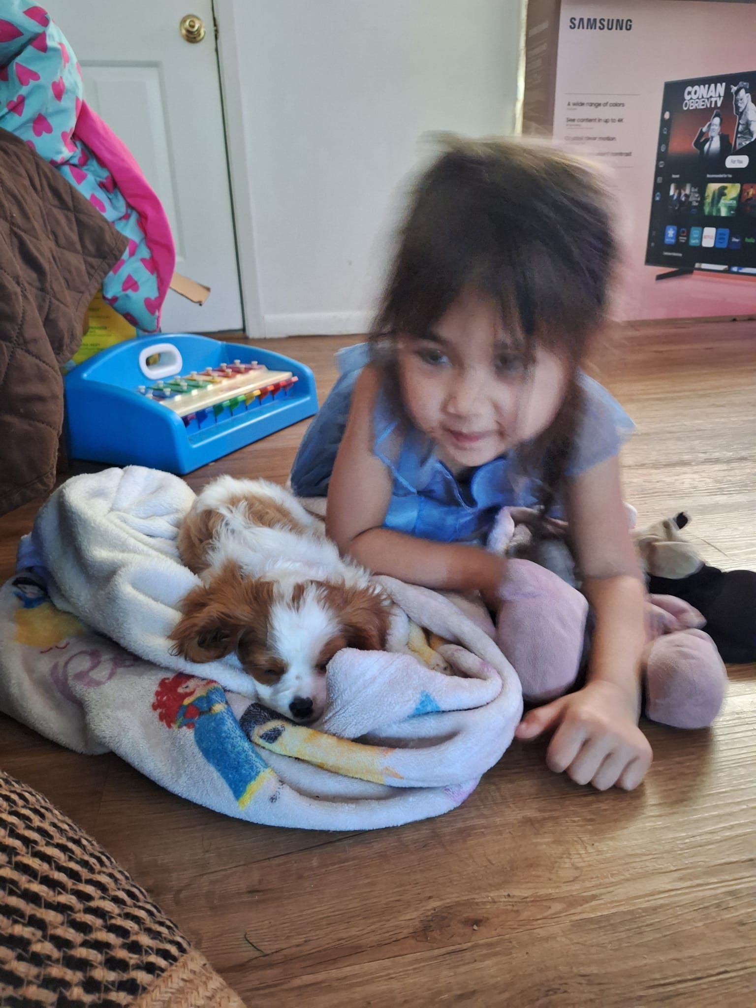A Little Girl is Laying on the Floor Next to a Puppy | Springfield, MO | MMK9