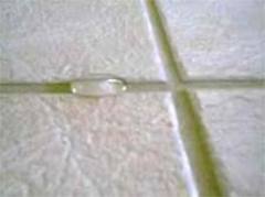 grout sealing