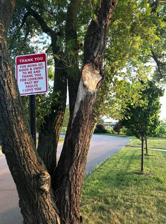 Tree with sign saying 