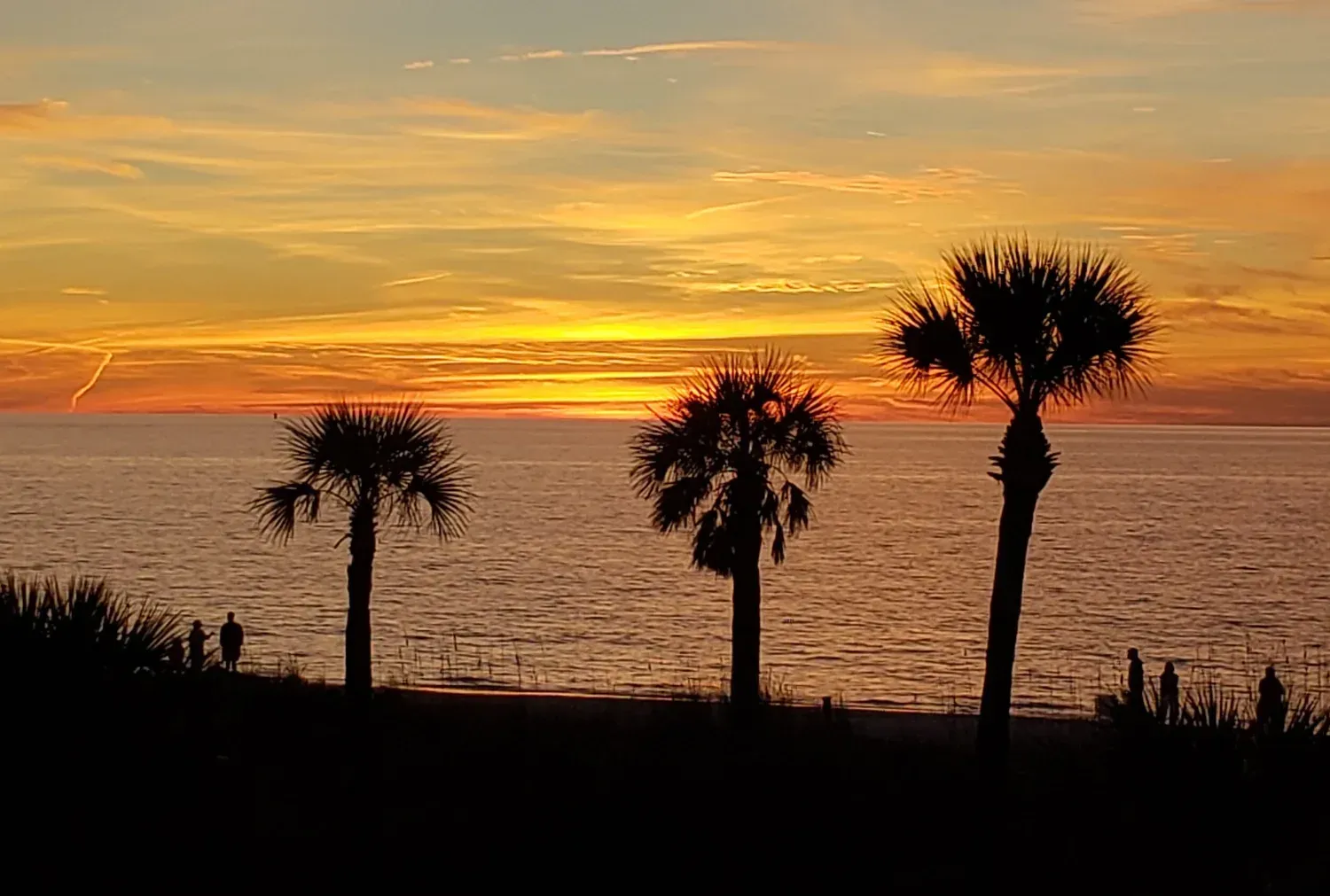 Sunset over ocean with three silhouetted palm trees.