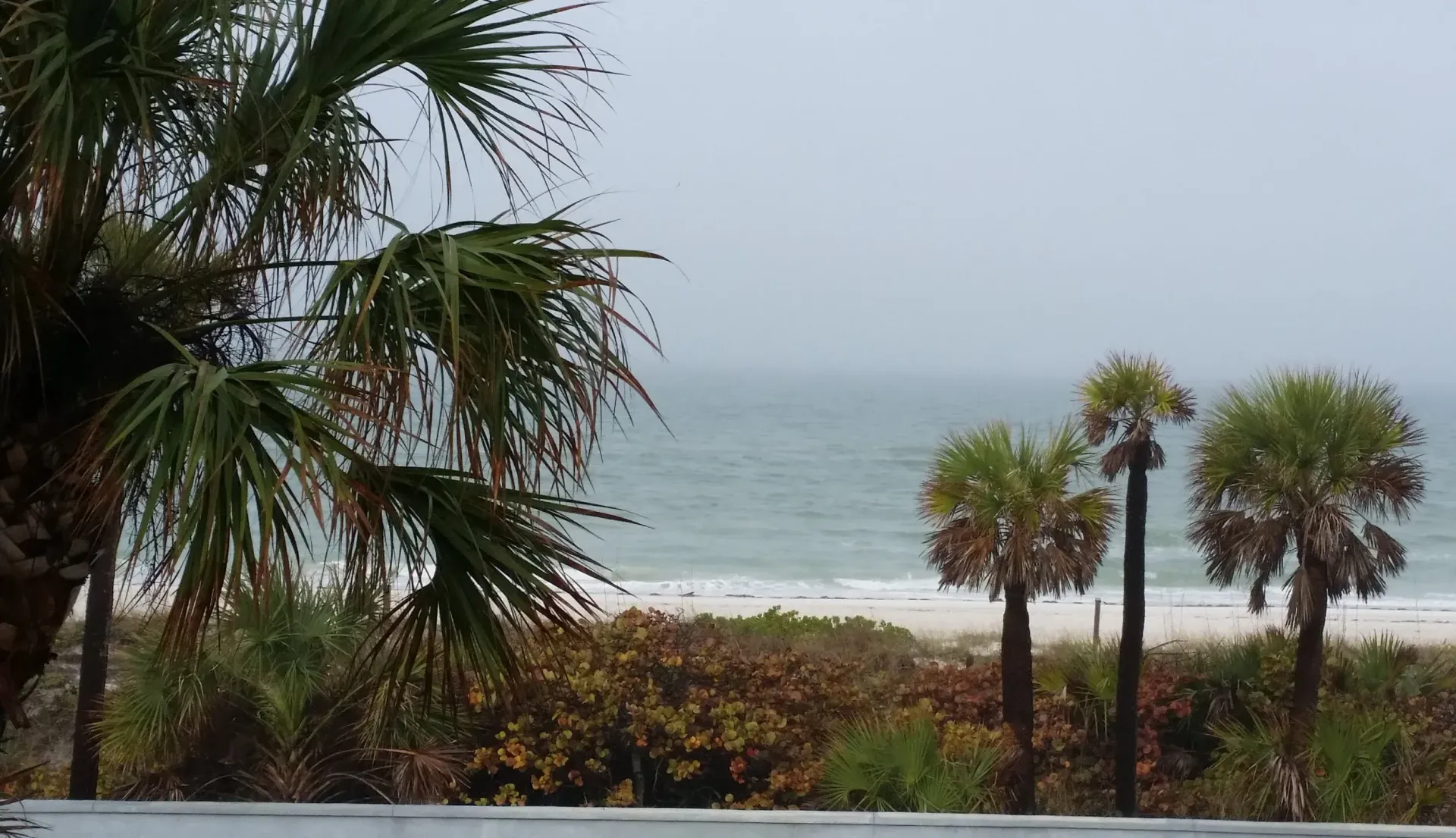 Palm trees frame a beach with waves under a cloudy sky.