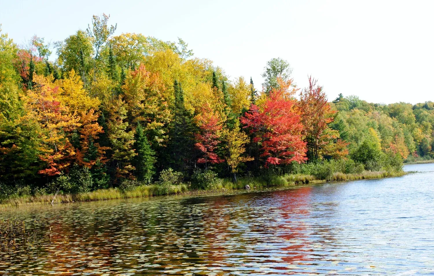 Fall foliage frames a calm lake, with trees displaying red, yellow, and green hues.