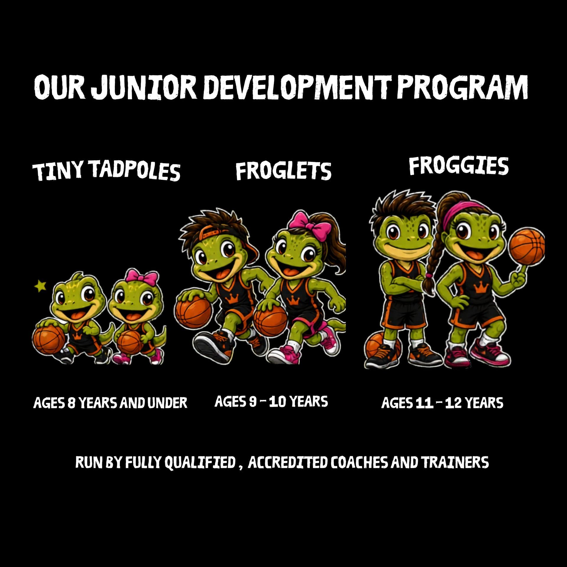 Junior development program poster with three frog-themed age groups and basketball graphics on a black background