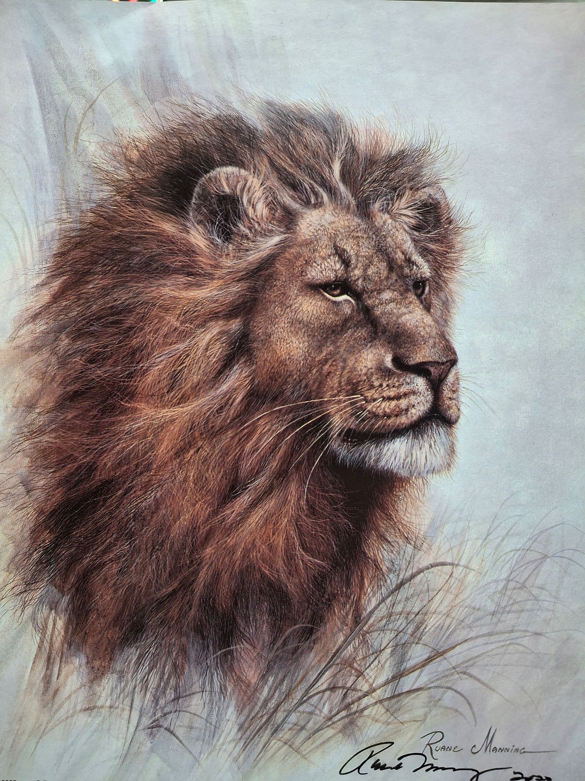 A painting of a Lion