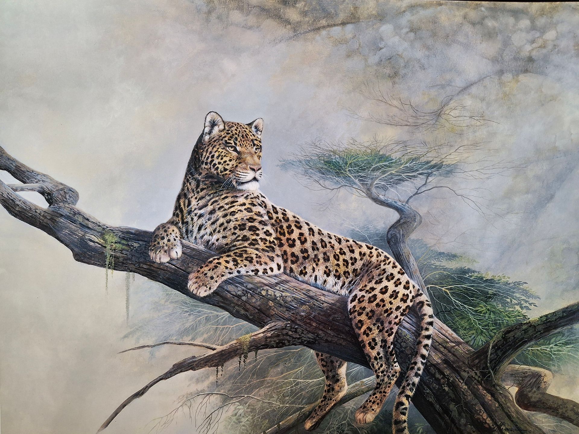 A painting of a leaopard in a tree