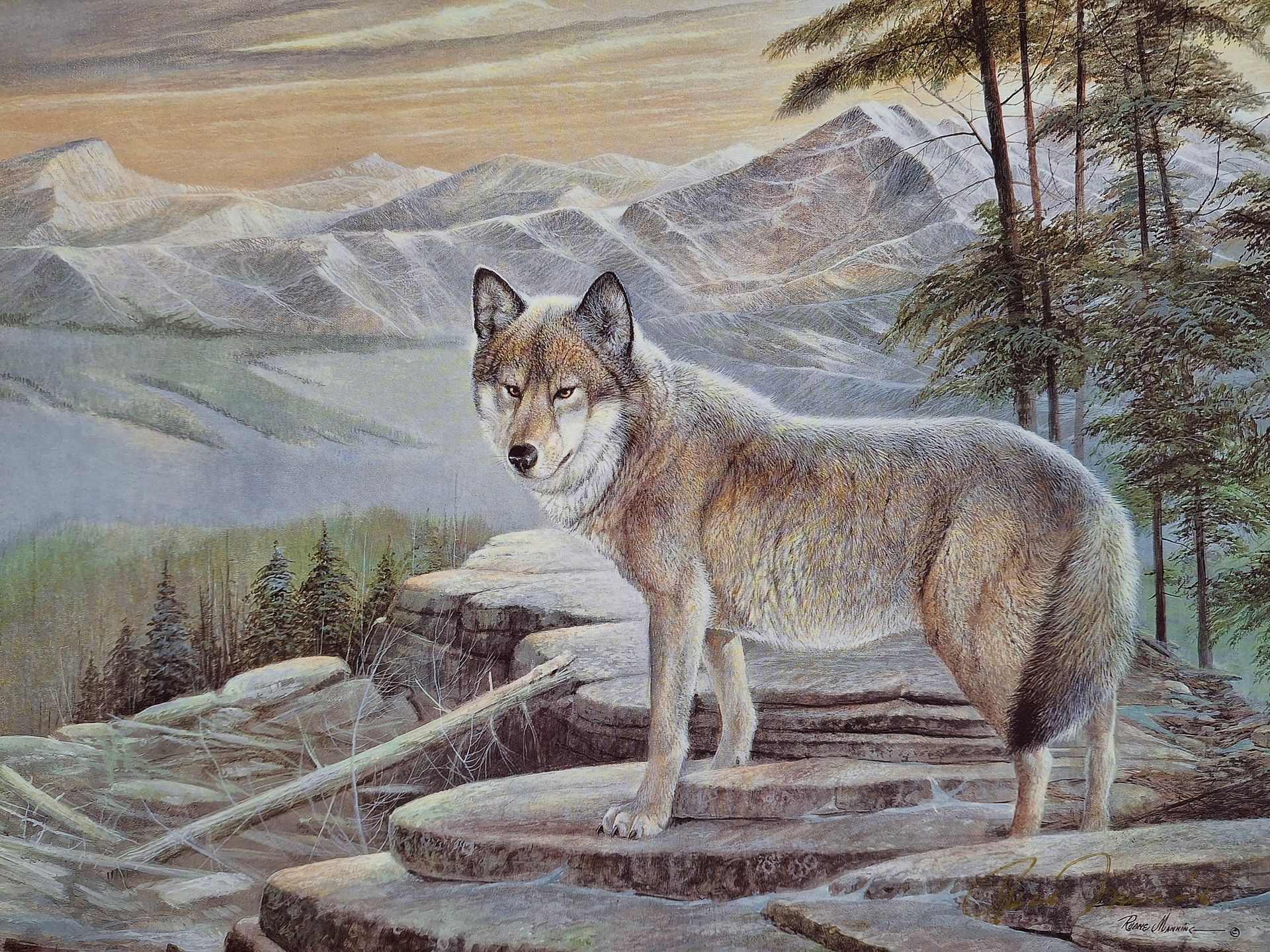 A painting of a lone wolf