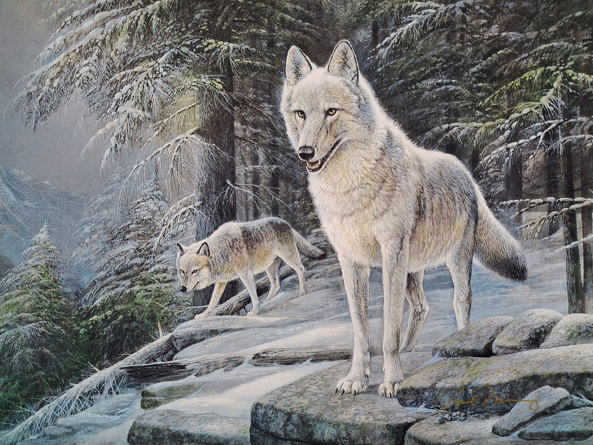 A painting of 2 wolves om a mountaintop