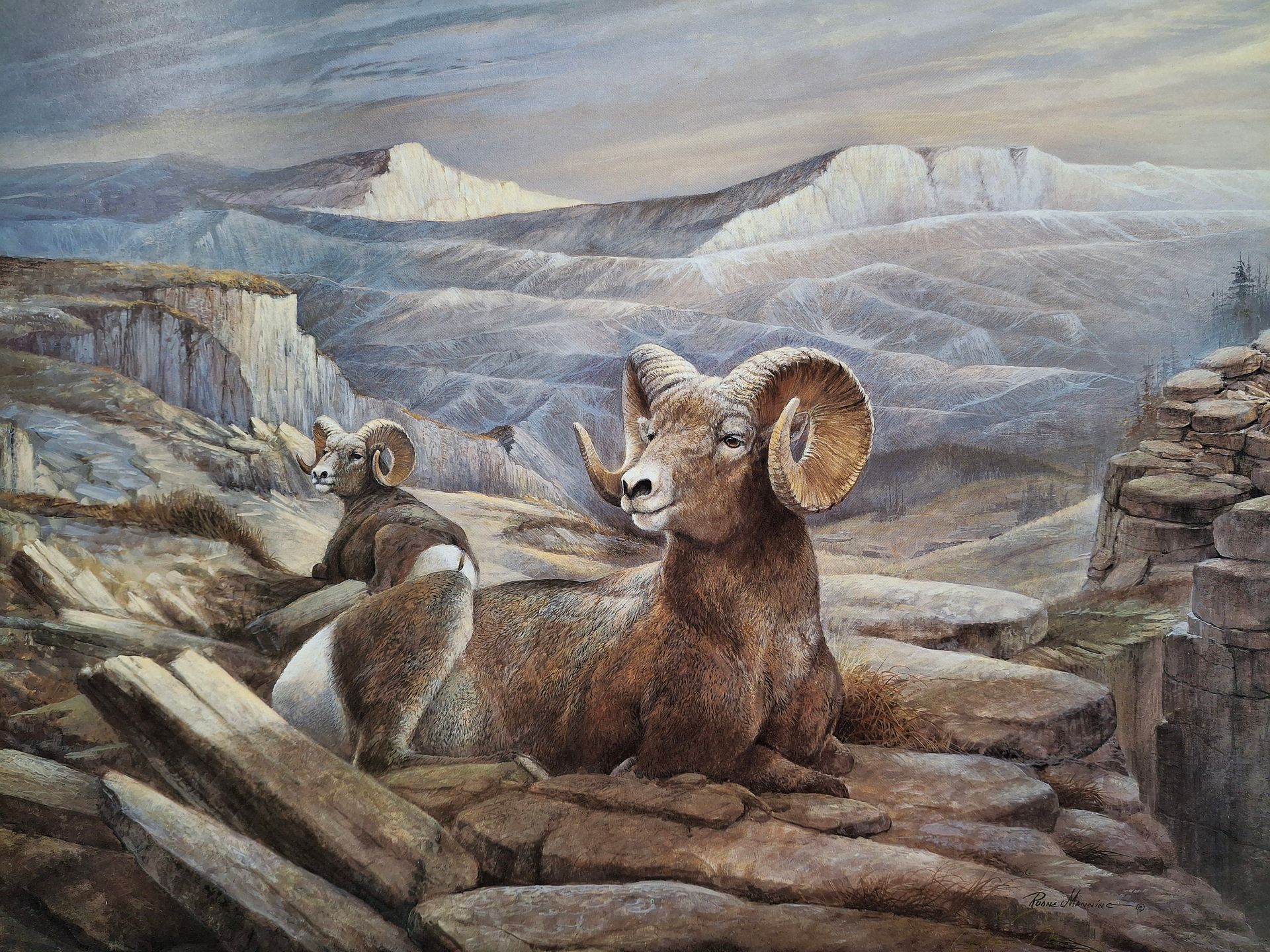 A painting of a big horn on a rocky mountain