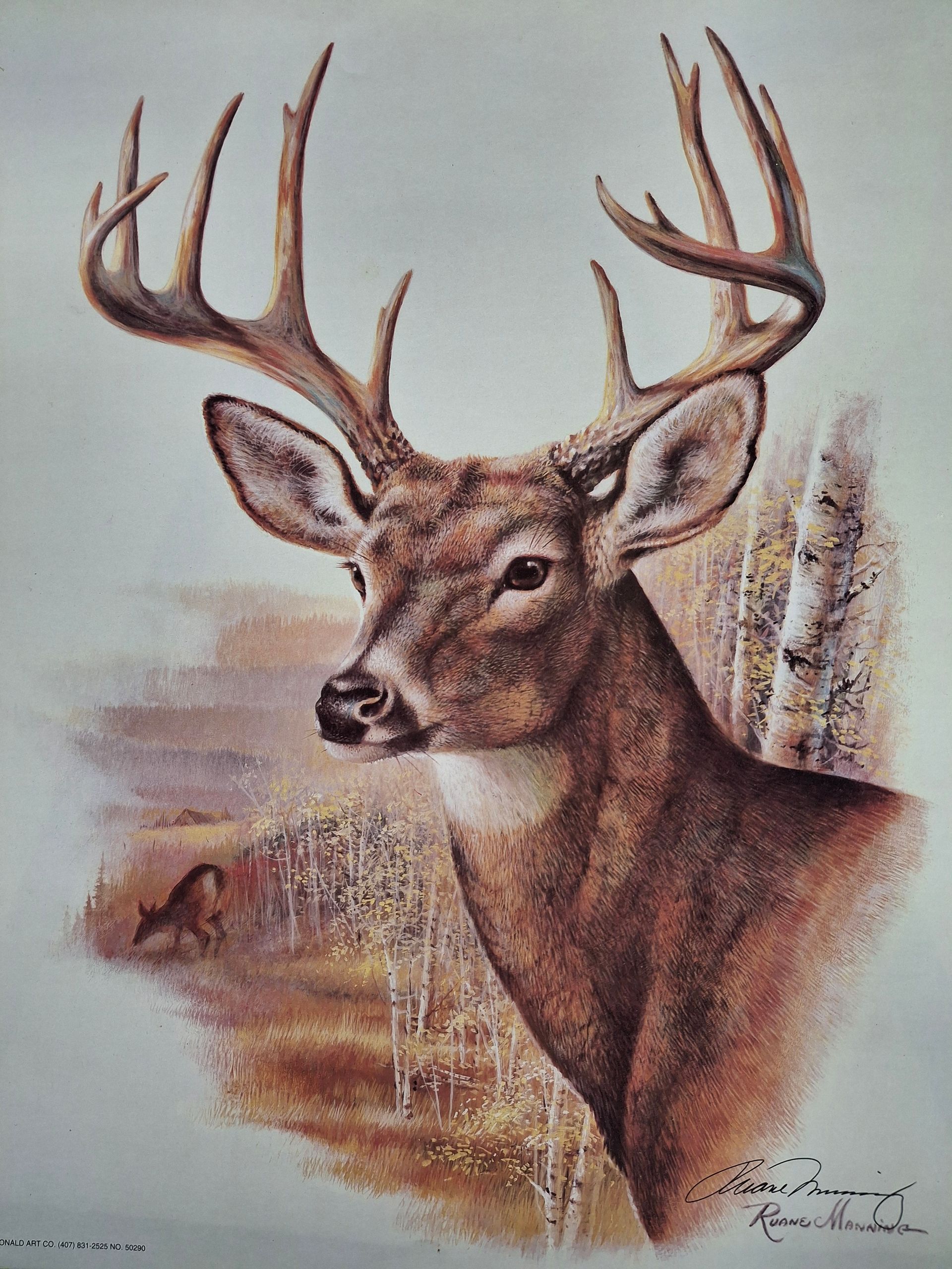 A painting of a close up of a Buck