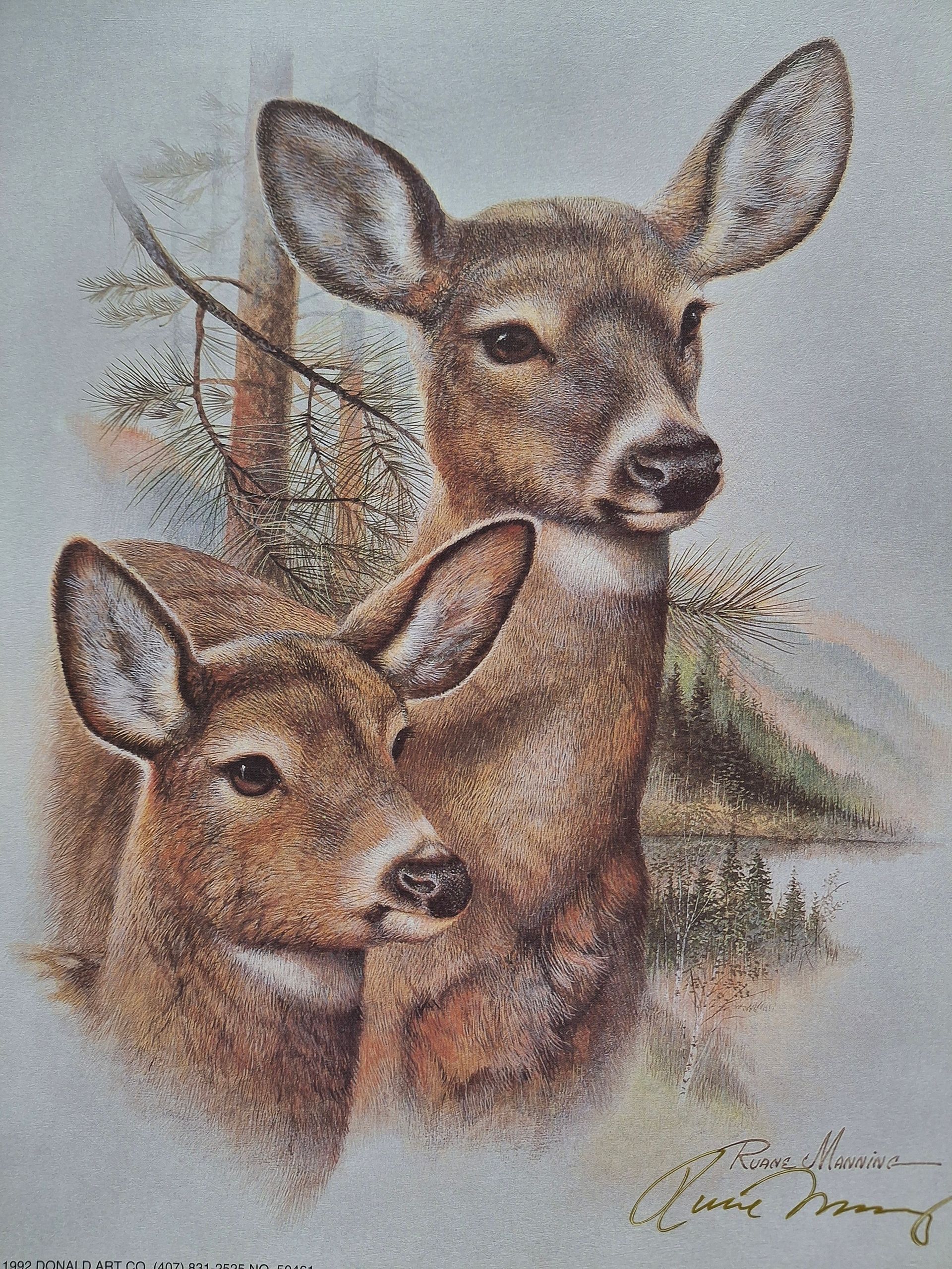 A painting of a close up of two Doe