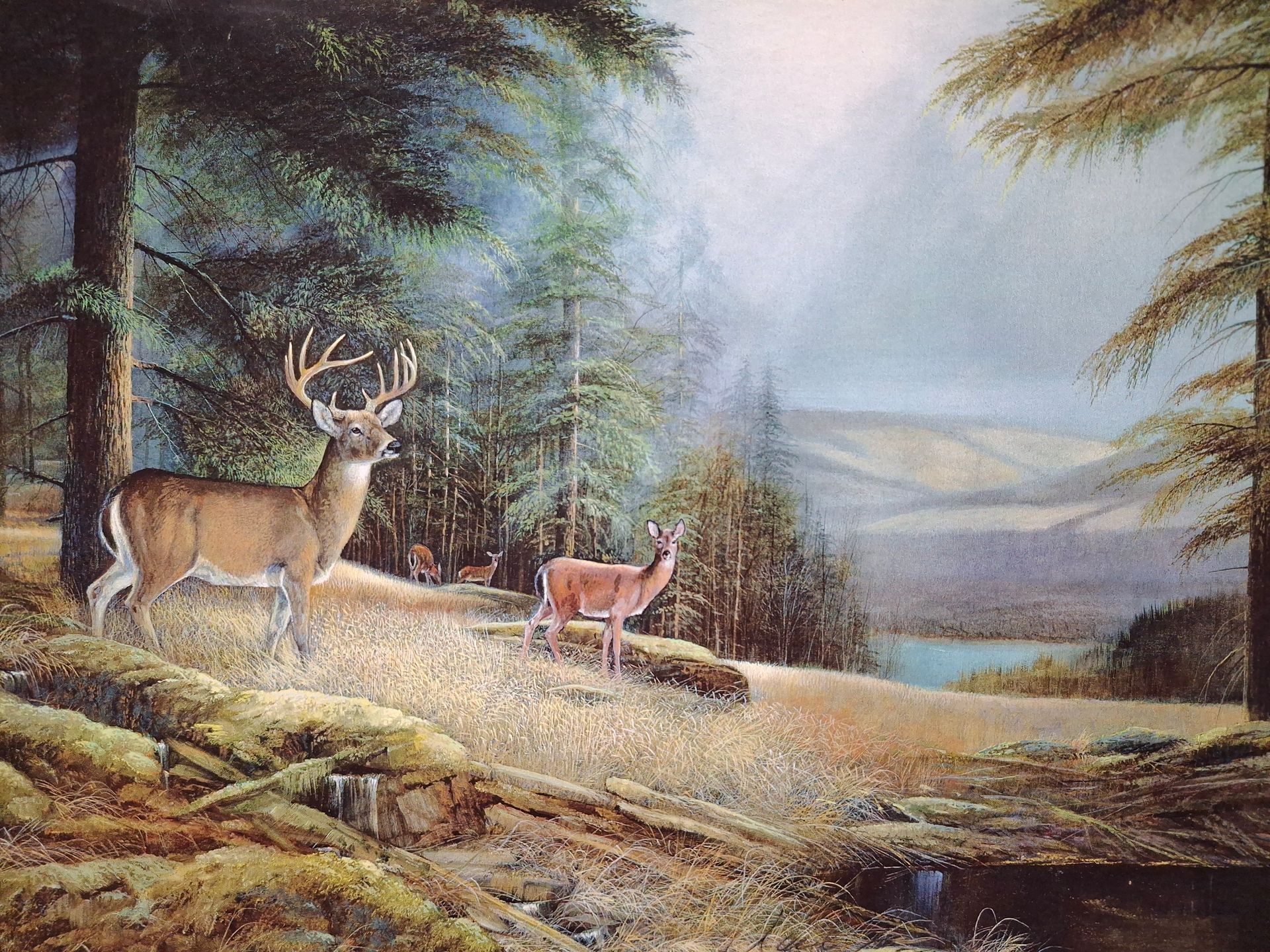 A painting of deer in the woods