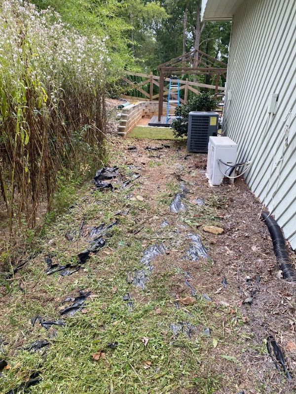 after wood removal