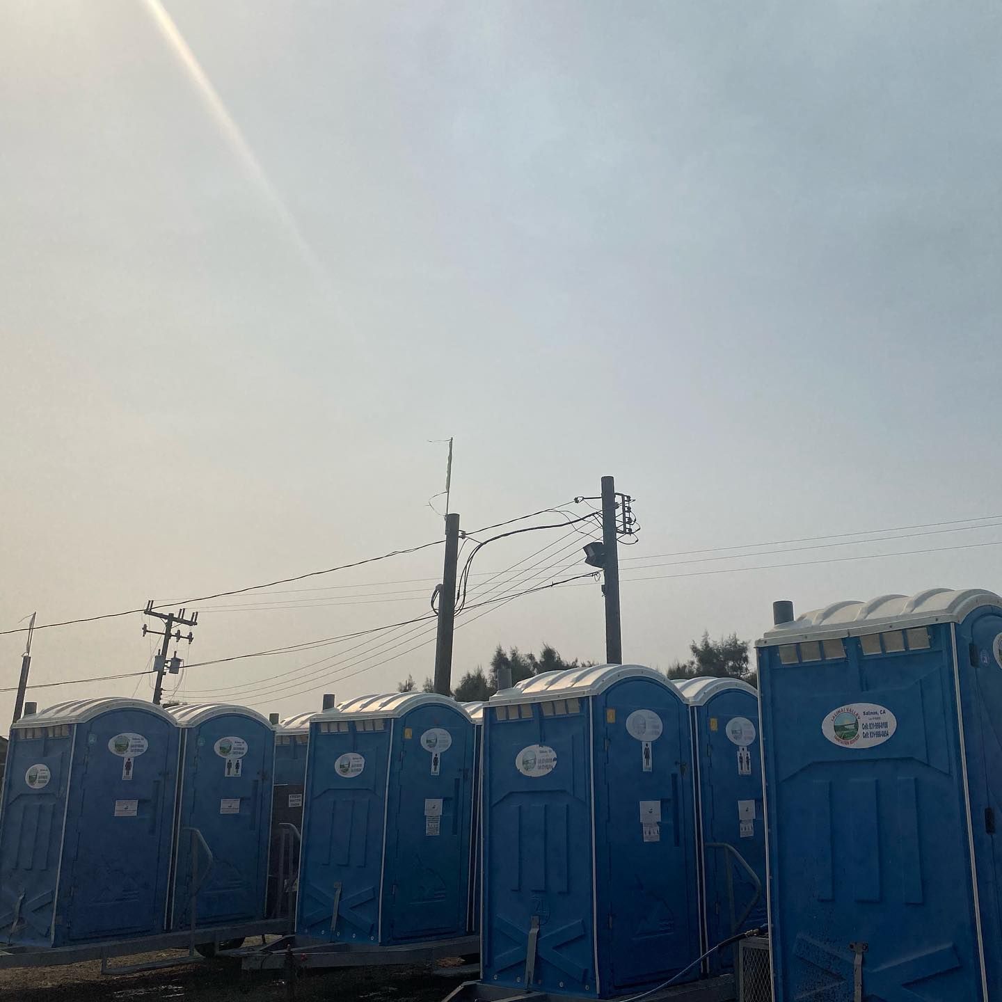 A row of blue portable toilets are lined up in a parking lot