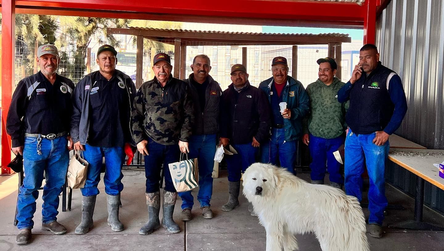 A group of men standing next to a white dog