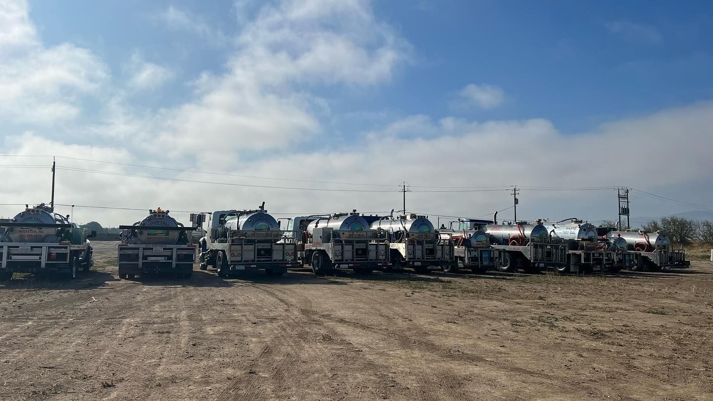 A row of trucks are parked in a dirt field.