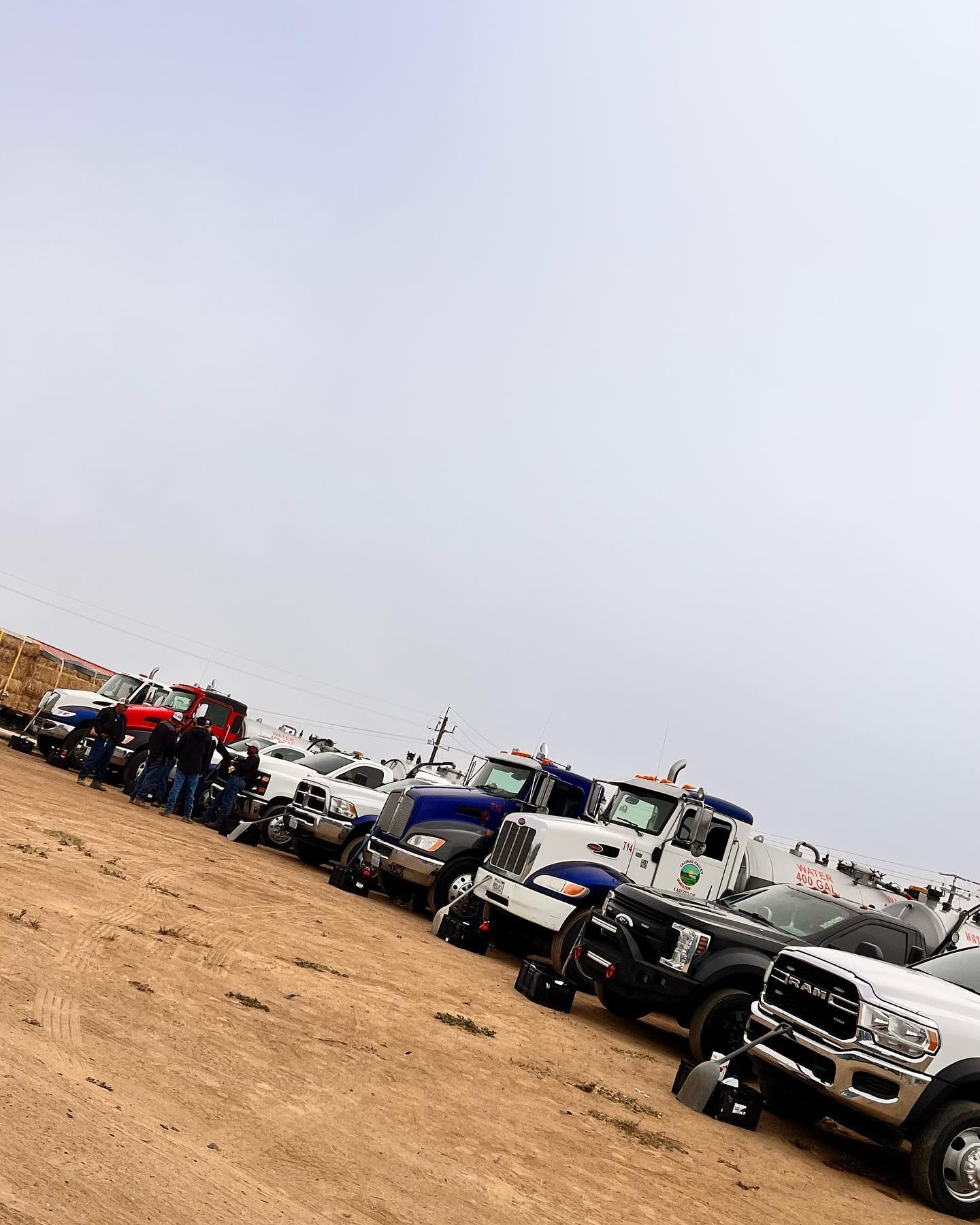 A row of trucks are parked in a dirt field.