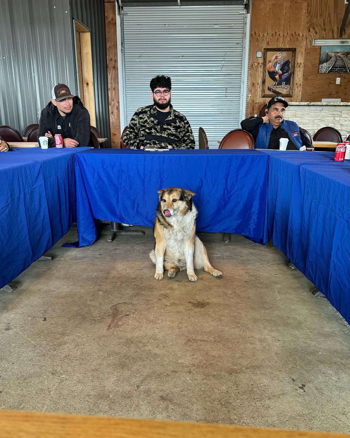 A dog is sitting at a table with three men